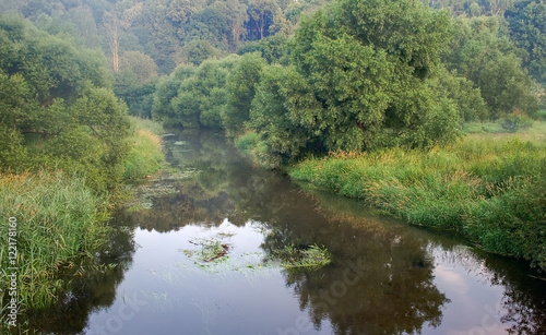 Fototapeta Naklejka Na Ścianę i Meble -  Summer morning river mist