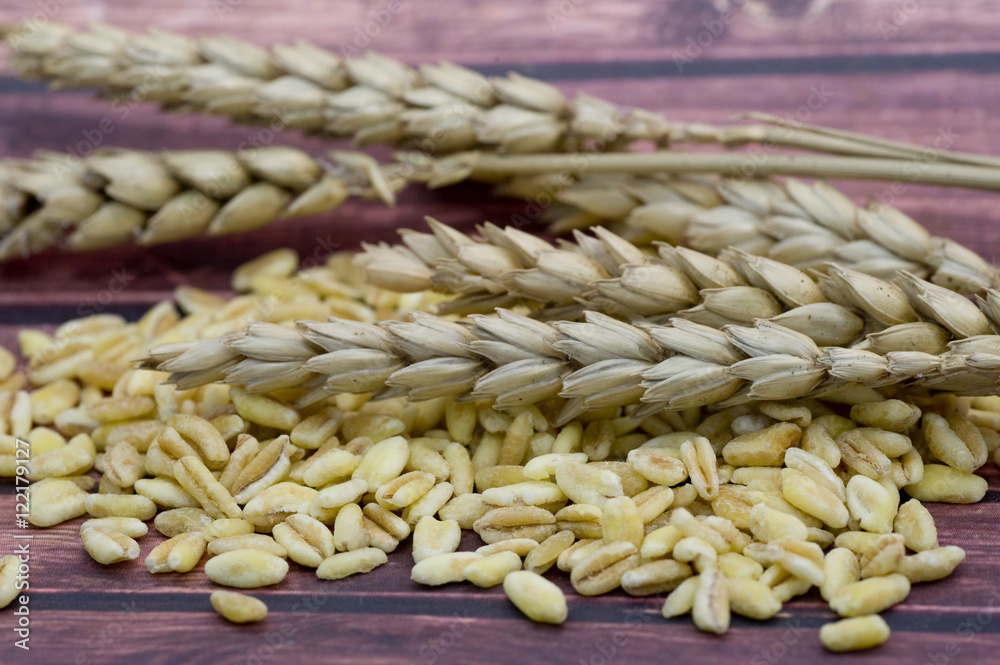 Obraz premium wheat