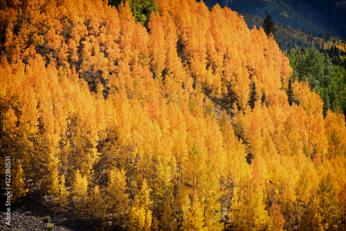 Fall In The Mountains