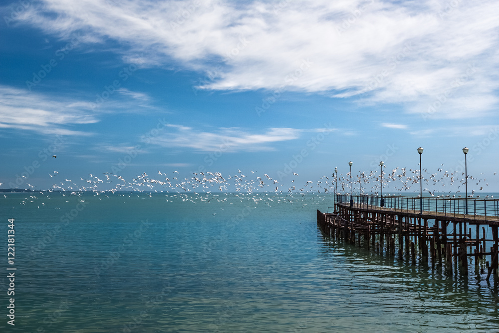 Old pier and seagulls over the sea