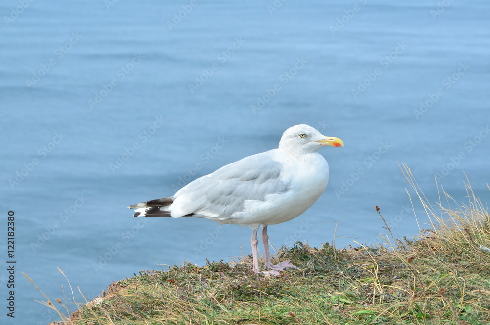 Helgoland Helgoland
