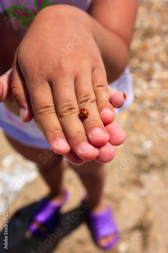 Small ladybug on a child's hand