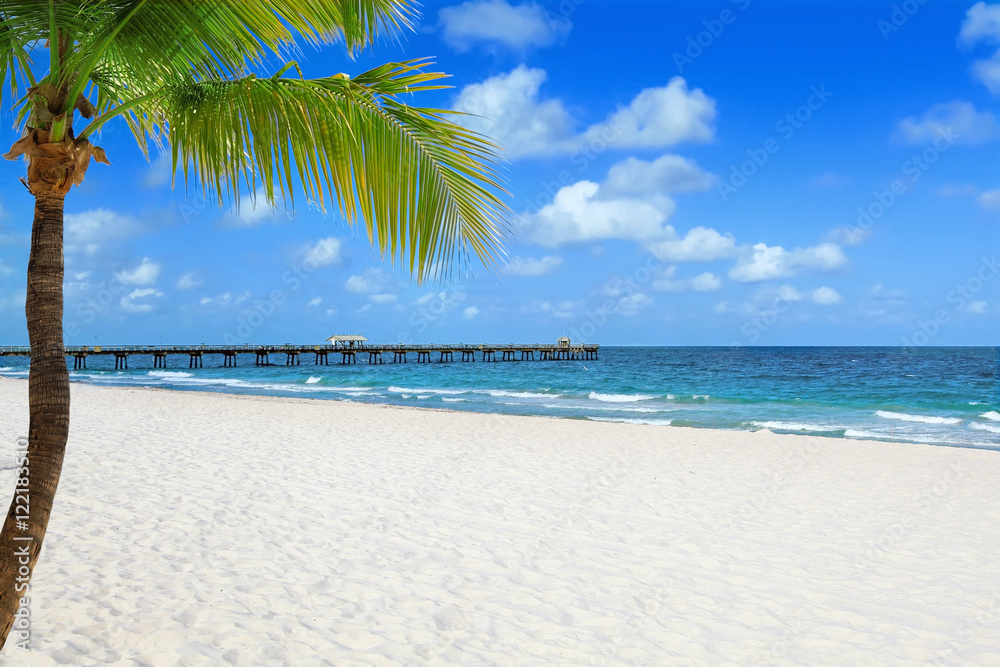 Tropical beach with palm tree and pier on a sunny day