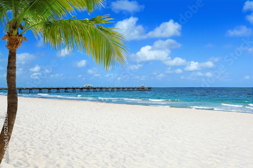 Fototapeta Naklejka Na Ścianę i Meble -  Tropical beach with palm tree and pier on a sunny day