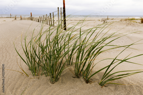 White sand dunes with a fence and grass.