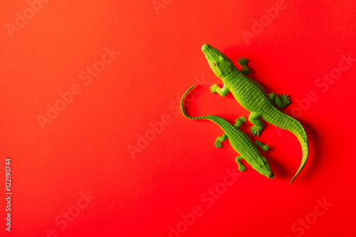 crocodile