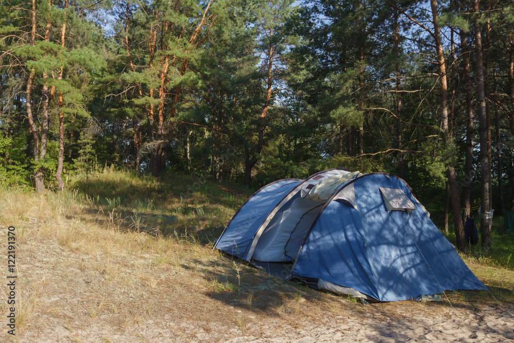 Tourist tent in a pine forest
