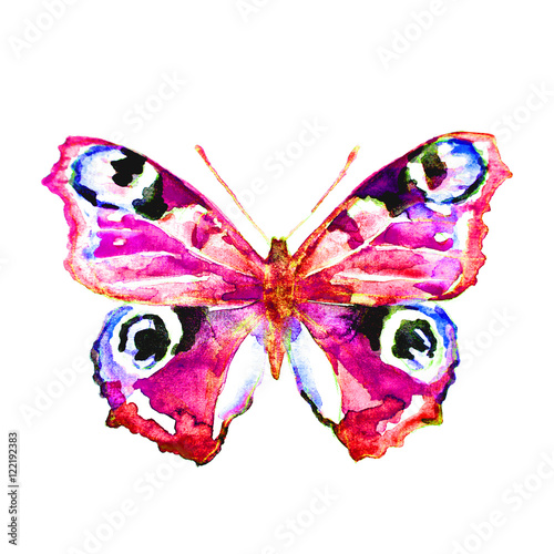 butterfly,watercolor, isolated on a white © aboard