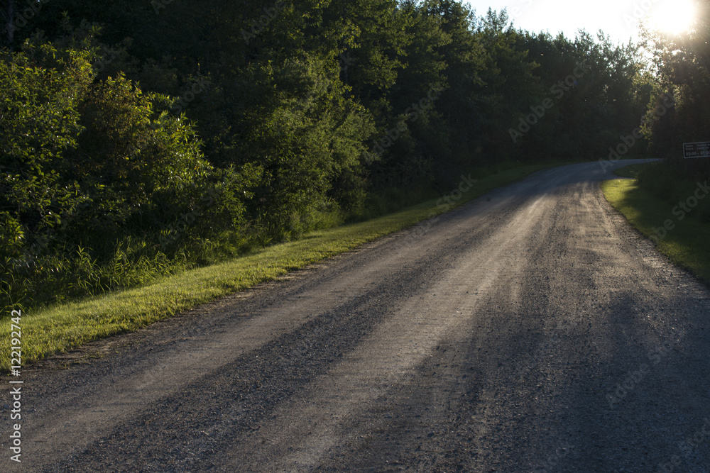 Fototapeta premium Trees along a gravel road, Wasagaming, Riding Mountain National