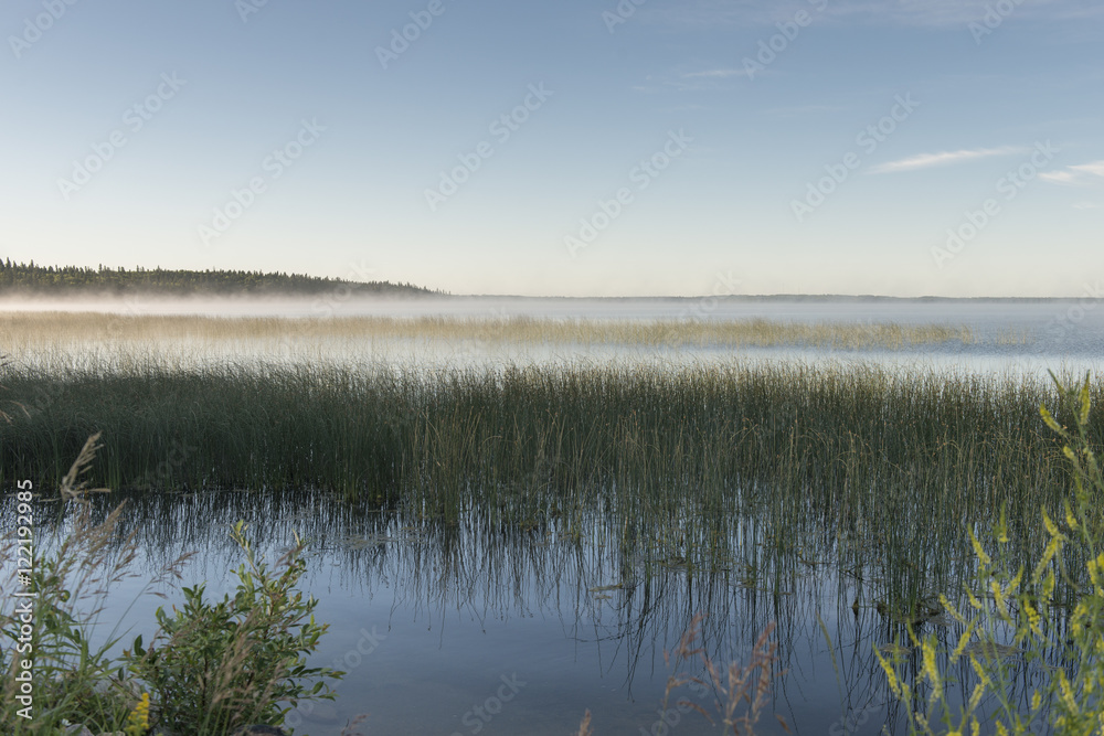 Edge of Marshland, Riding Mountain National Park, Manitoba, Cana Edge of Marshland, Riding Mountain National Park, Manitoba, Cana
