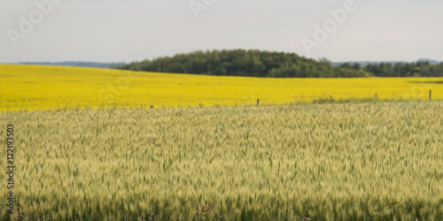 Prairie, Erickson, Riding Mountain National Park, Manitoba, Cana