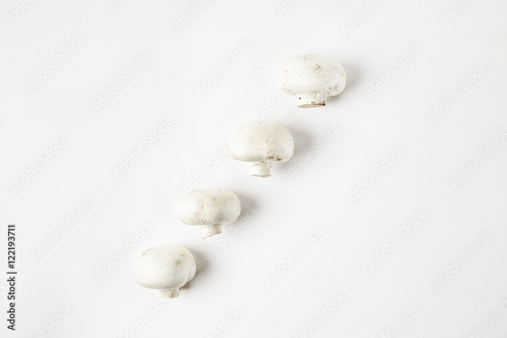 Cultured mushrooms on white background. Diagonal. Seasonal vegetables in hipster style pattern