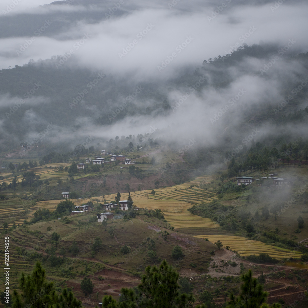 Overview of rice terraces in Punakha District, Bunakha Valley, Bhutan