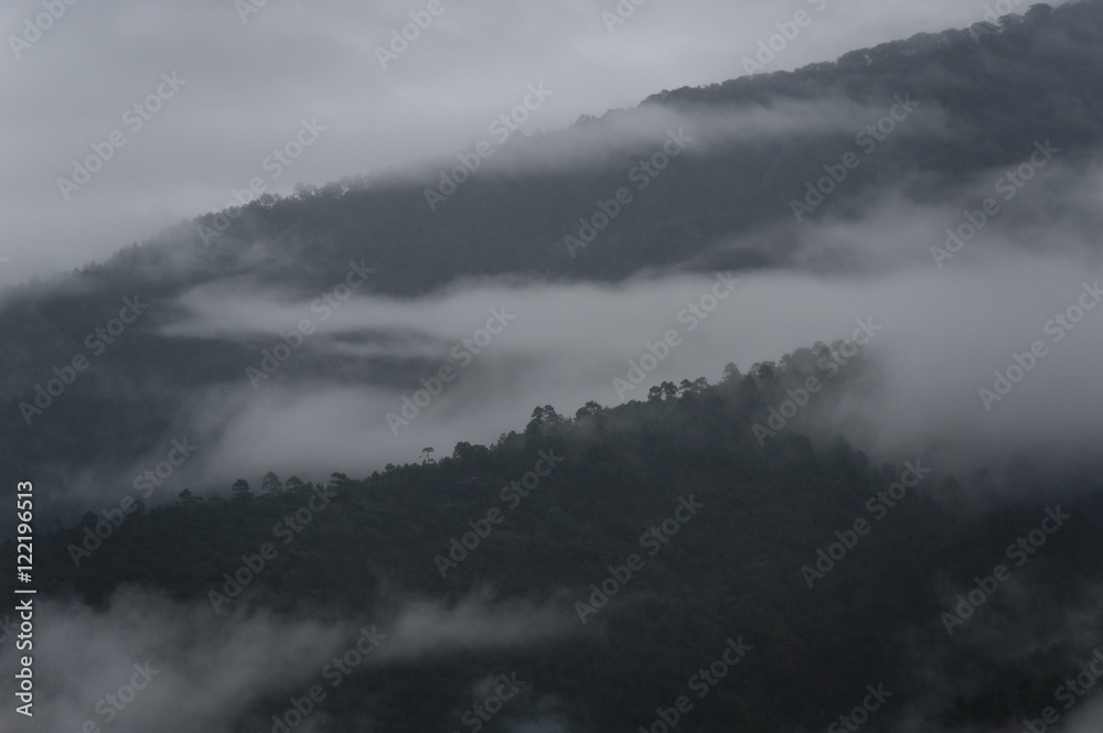 Fototapeta premium Bhut266.jpg