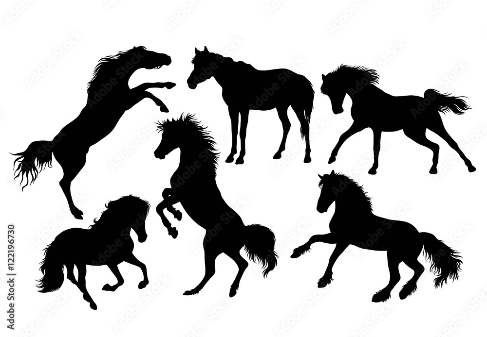 Silhouette of Horse Behavior, illustration art vector design