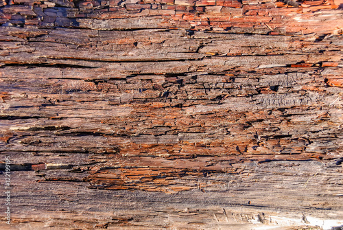 Beach Wood Background