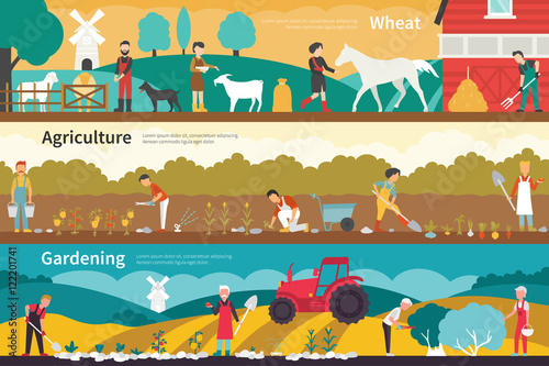 Wheat Agriculture Gardening flat interior outdoor concept web