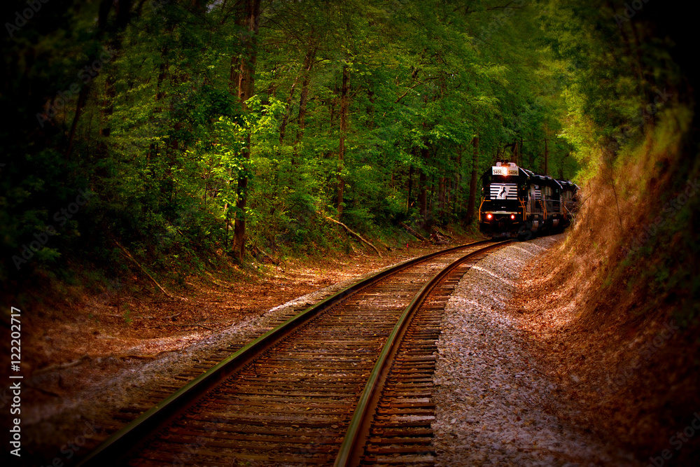 Fototapeta premium Train coming down the tracks