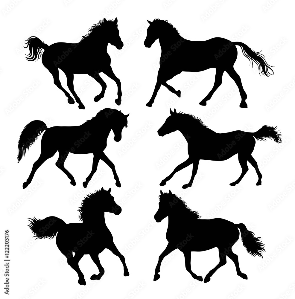 Silhouette of Horse Activity, Illustration art vector design Silhouette of Horse Activity, Illustration art vector design