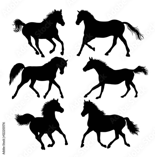 Silhouette of Horse Activity  Illustration art vector design