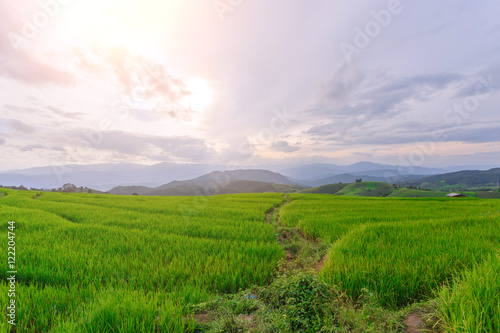 Beautiful nature green Terraced Rice Field of Rainy Season  a major tourist attraction in Pa Bong Pieng  Mae Chaem  Chiangmai  Thailand. This is a location very popular for photographers and tourists.