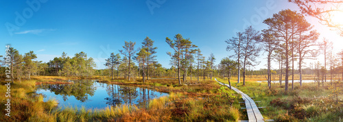 Viru bogs at Lahemaa national park in autumn. Wooden path at beautiful wild place in Estonia photo