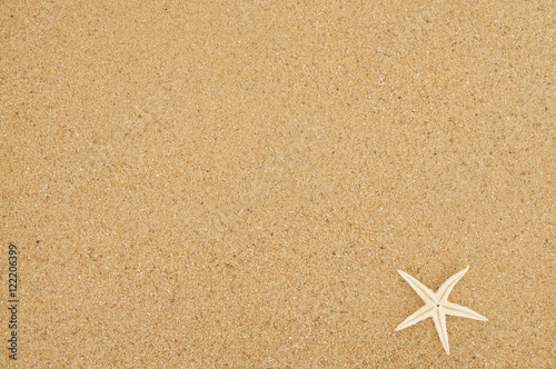 Starfish on sand background