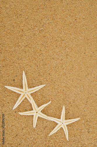 Starfishes on sand background