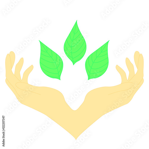 two hands surrounding green leaves. Сoncept of wellness, protecting nature, also represents concepts like environment protection, spa resorts...