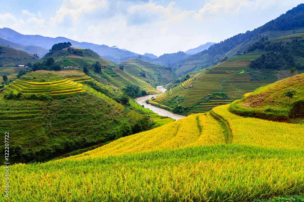 Rice fields on terraced in Northwest of Vietnam.