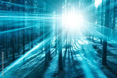 Magic bright cyan blue light in the forest with sun rays.