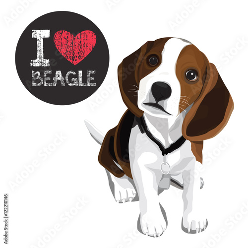 I Love Beagle