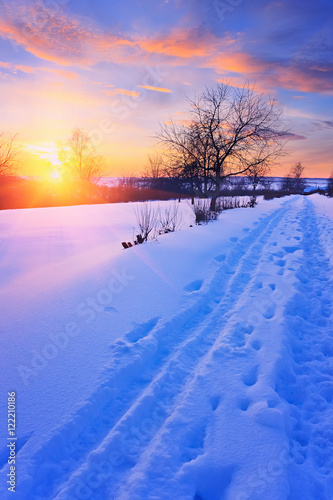 Colorful sunset in winter park © sborisov