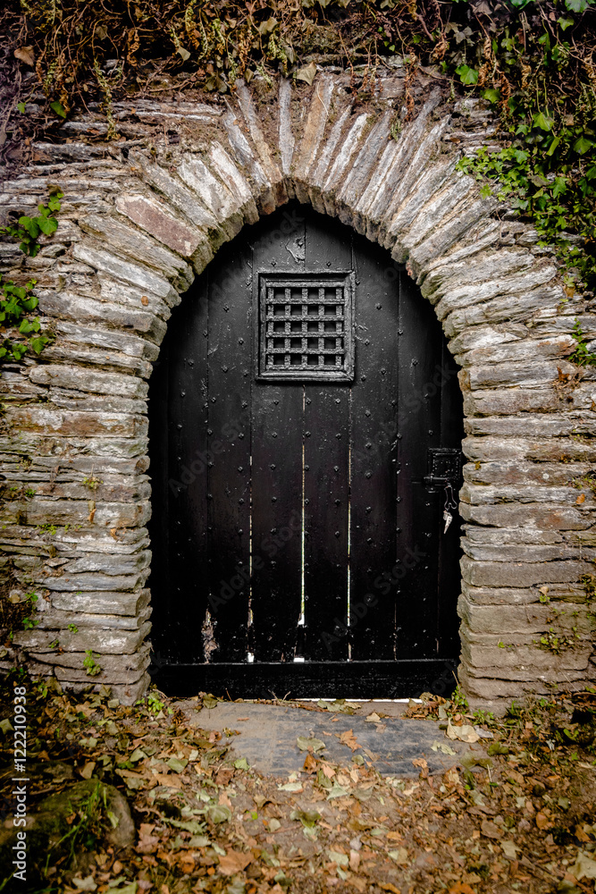 The door 2