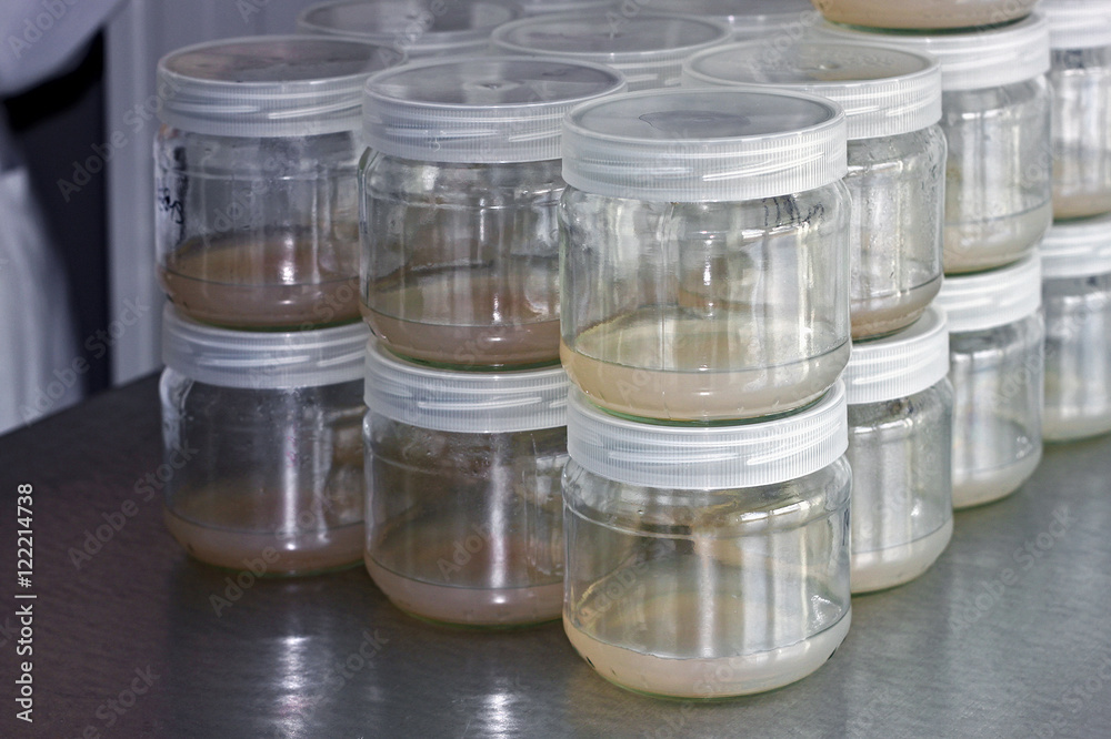 Meristem tissue culture laboratory for plant growing. Meristem tissue culture laboratory for plant growing.