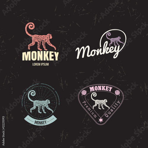 Vector logo set with Jungle Monkey