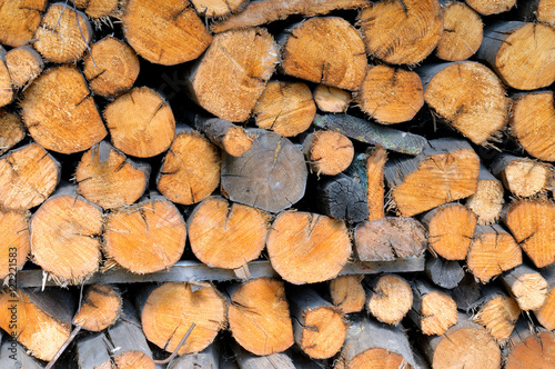 Pile of round firewood for the furnace