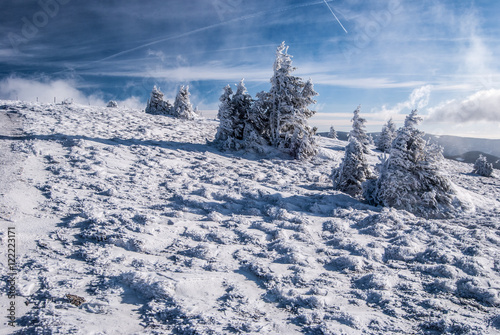 winter mountain meadow with small trees and blue sky with few clouds in winter Fischbacher Alpen mountain near Grazer Stuhleck hill in Styria photo