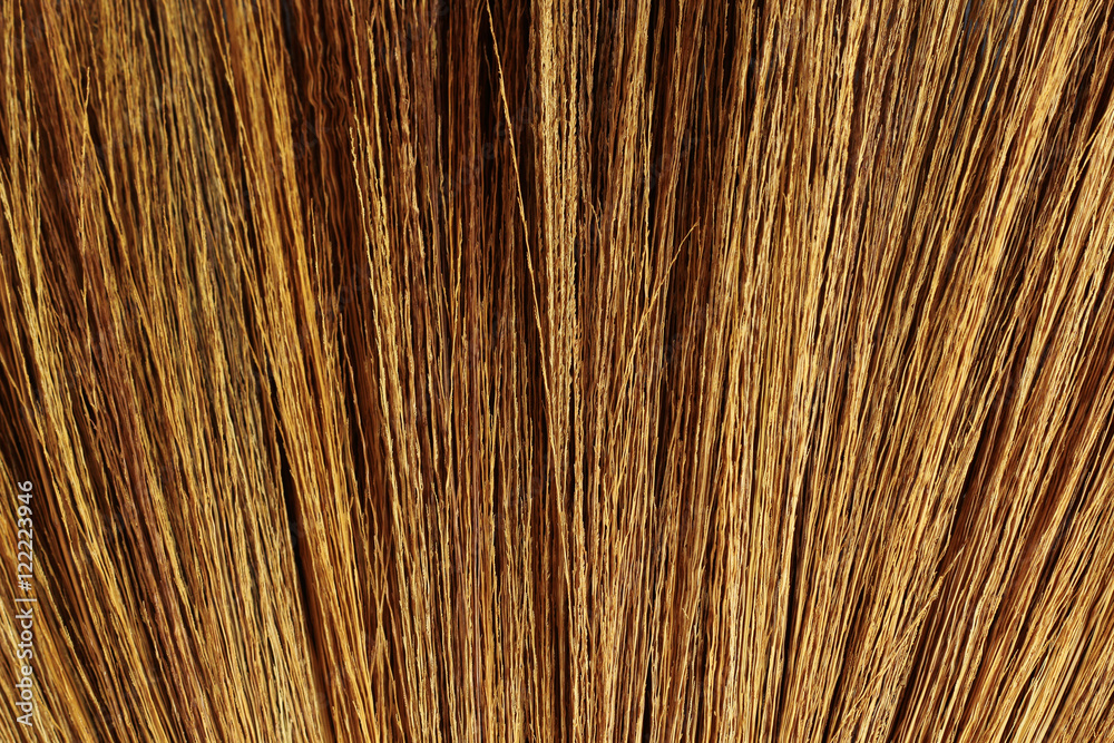 Broom grass texture abstract background. Broom grass texture abstract background.