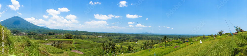Panorama über die Reisfelder von Bali Indonesien