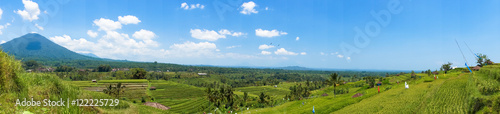 Panorama   ber die Reisfelder von Bali Indonesien