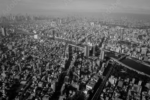 Top view of Tokyo city in the morning. Shoot in black and white shot.