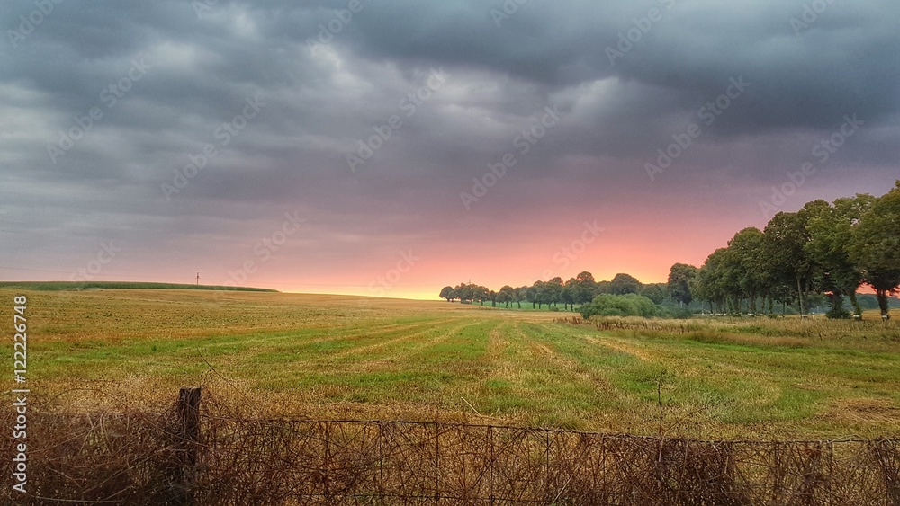 Fototapeta premium Sommermorgen 