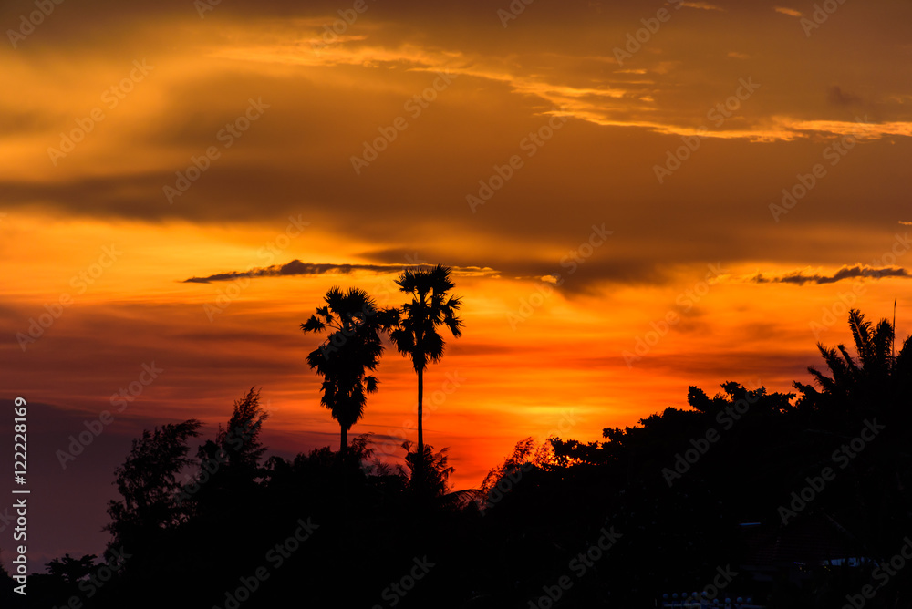 Sunset,colourful of sky and silhouette of palm trees.