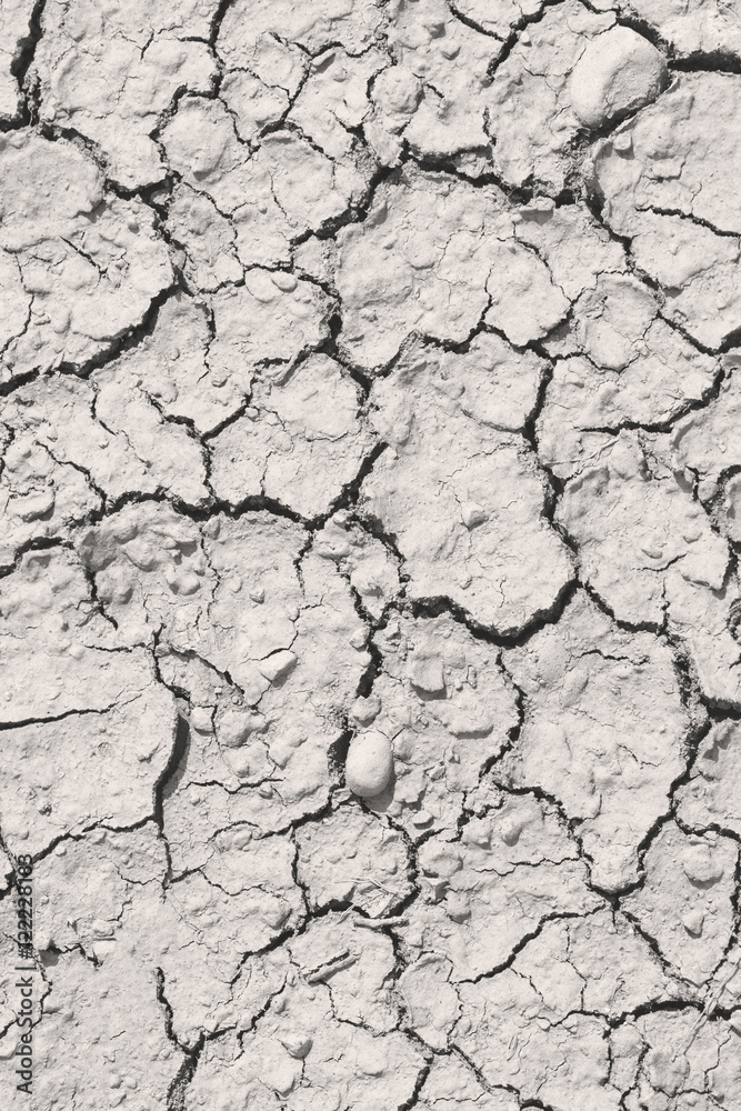 Gray cracked soil, background