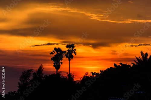 Sunset,colourful of sky and silhouette of palm trees.