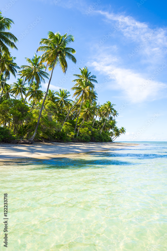 Empty palm fringed tropical beach on the northeast coast in Nordeste, Bahia, Brazil