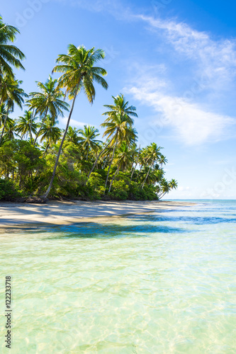 Fototapeta Naklejka Na Ścianę i Meble -  Empty palm fringed tropical beach on the northeast coast in Nordeste, Bahia, Brazil