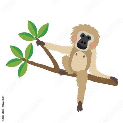 Gibbon sitting on branch animal cartoon character. Isolated on white background. Vector illustration.