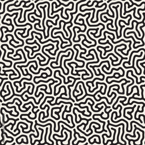 Vector Seamless Black and White Organic Lines Pattern